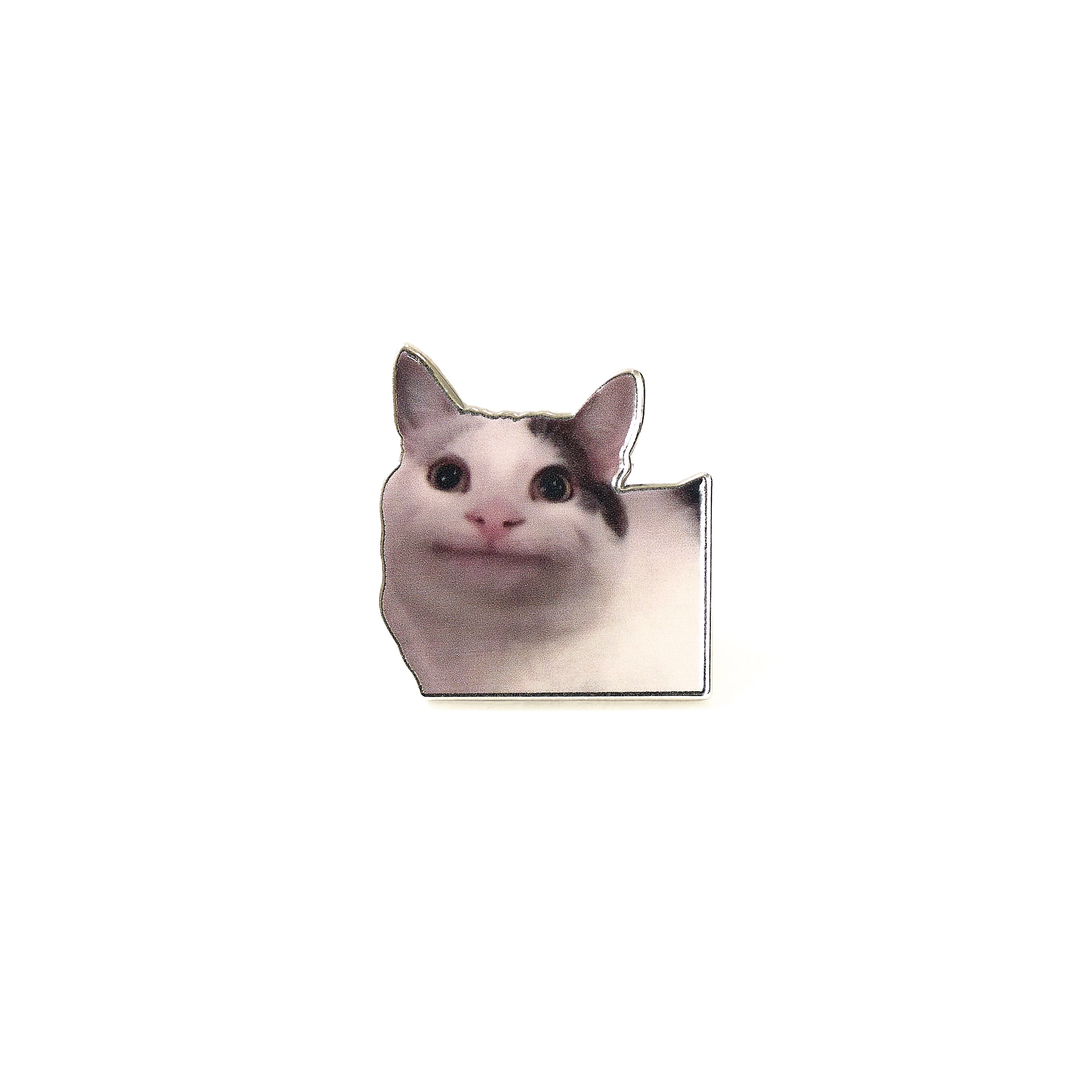 PIN AWK CAT