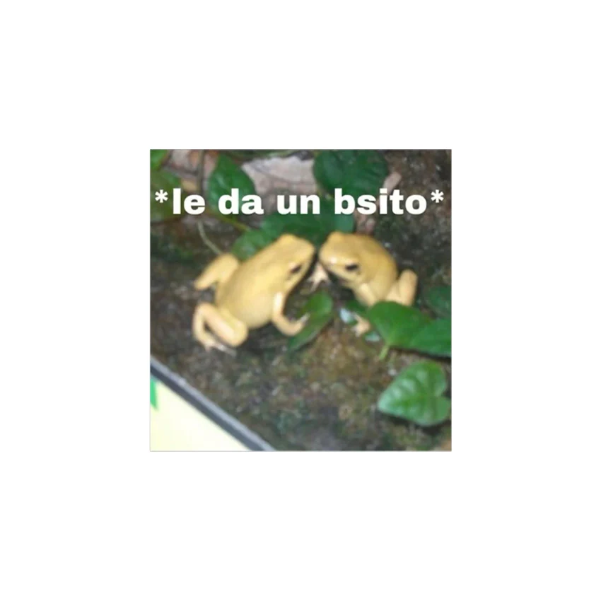 PIN BSITO